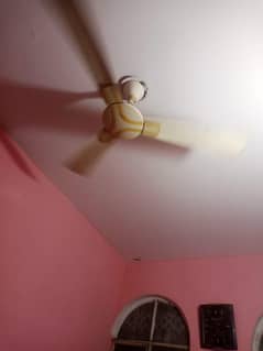 56