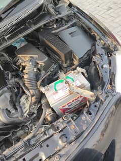 Corolla xli