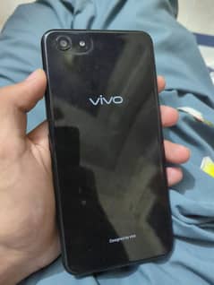 vivo