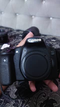 canon 60d with 2 lenses