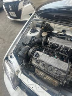 urgent sale