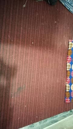 carpet