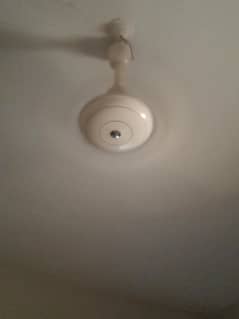 ceiling fan