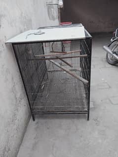 iron Cage