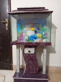 fish aquarium