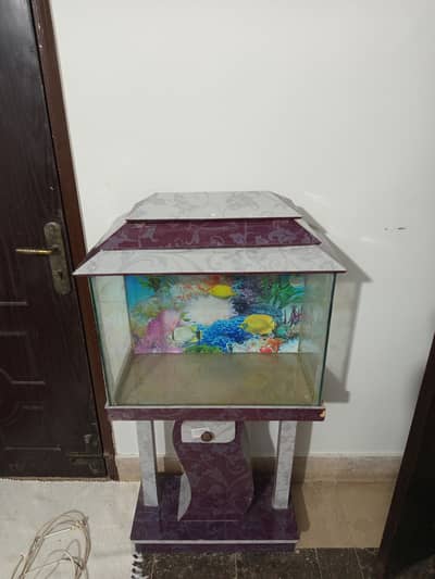 fish aquarium