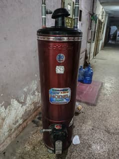 Gold Star geyser for sale
