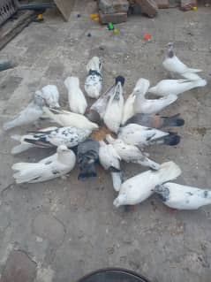 For sale