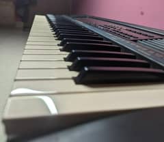 kawai