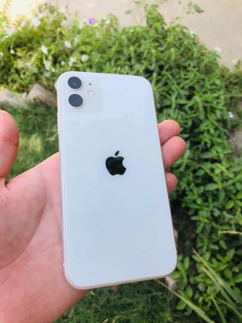 iphone 11 read add 1