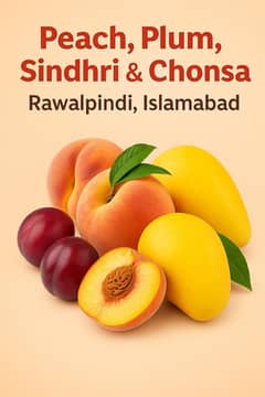 Season Fresh Fruits Wholesale Rate | Fresh Mango Mandi Rate -Isb Mandi