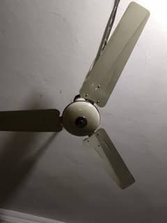 pak fan