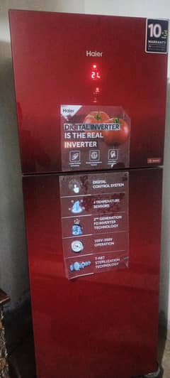 Haier dc inverter fridge