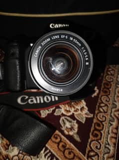 Canon 60d professional body