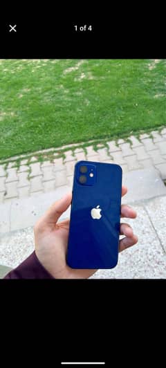 IPHONE 12