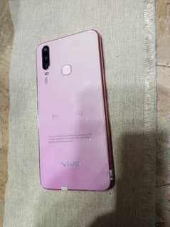 vivo