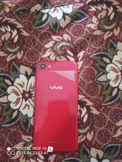 Vivo