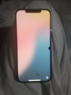 12 Pro max