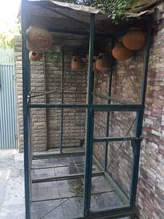 bird iron cage