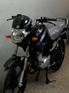 Yamaha ybr125cc 2016 ( 1 digit golden num 2 )
