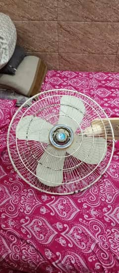 fan
