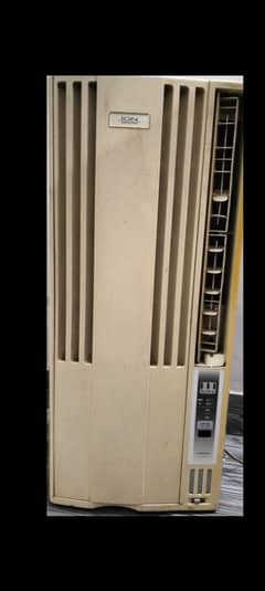 Portable 110 AC for sale