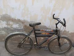 Cycle