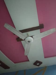 fan for sale