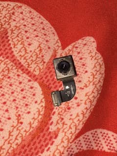 Iphone 8 back camera