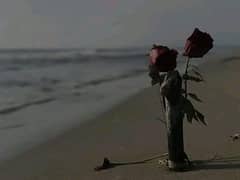mujy ik lakri ki zrorat hai ju mere sath abi Mulaqat kry