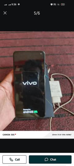 vivo