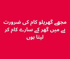 مجھے گھریلو کام کی ضرورت ہے میں گھر کے سارے کام کر لیتا ہوں