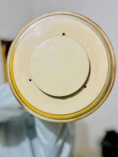 Ceiling Fan For Sale