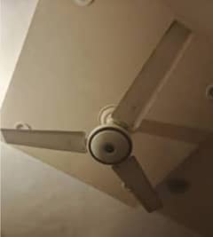 Ceilinf