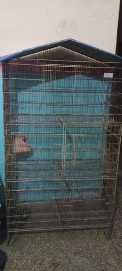 cage for birds