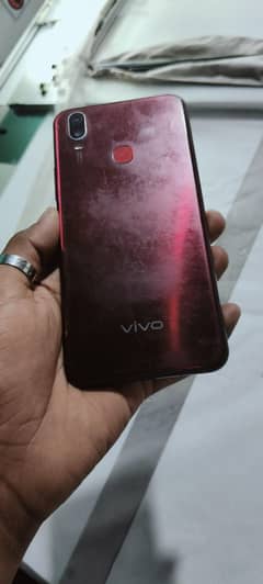 vivo