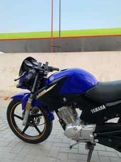 yamaha ybr