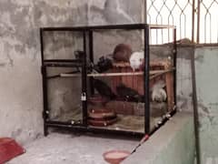 cage