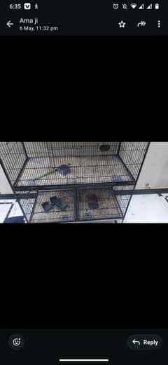 birds Cage