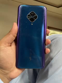 Y51 V2024