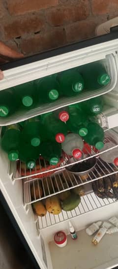 hair mini fridge