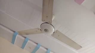 Ceiling Fan in Full Working Condition