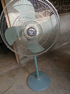 GFC New Padestal Fan