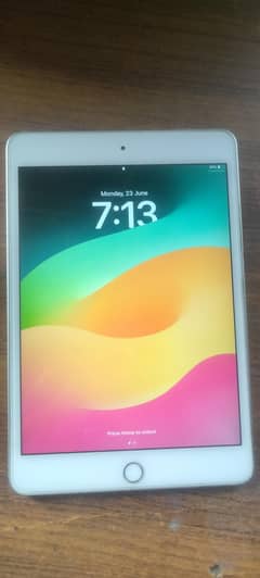 iPad