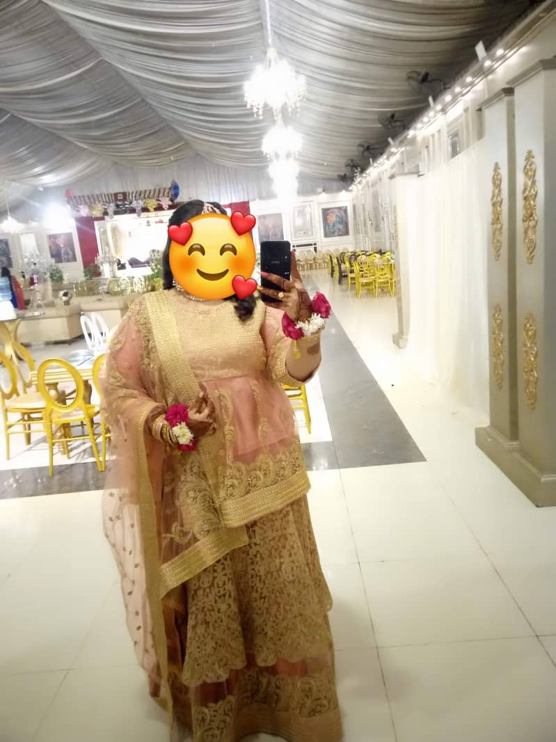 Fully embroidered baby pink  lehnga 1