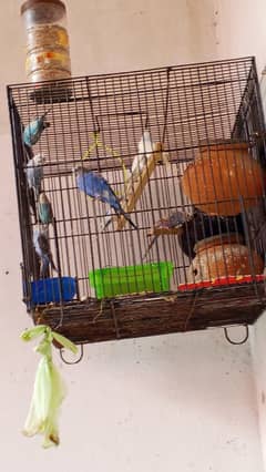 bridger pirs ostalin 7pir cage be sath ha agar cage be 7 ha