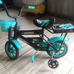 Baby cycle