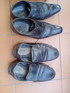 Gents shoes