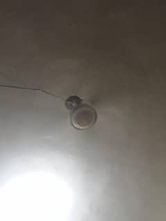1 fan 220v