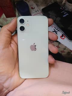 iphone 12 mini in lush condition water pack